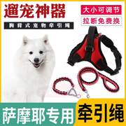 萨摩耶专用p链大型犬狗狗，背心式胸背带，牵引绳宠物用品防爆冲狗链