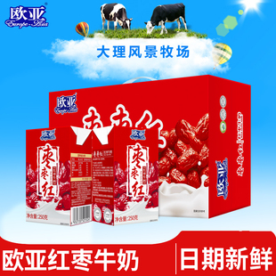 日期新鲜欧亚枣枣红红枣牛奶250g*24盒/箱早餐大理乳制品