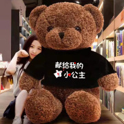 熊公仔超大泰迪熊玩偶睡觉抱抱熊熊毛绒玩具娃娃生日礼物女生儿童