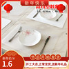 简约时尚透明塑料餐垫空白单片防水北欧彩家用餐厅桌垫小清新