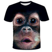 跨境外贸夏季款时尚大码大猩猩3D数码印花宽松圆领男女短袖T恤
