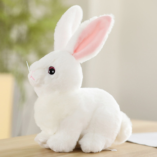可爱小兔子公仔兔年吉祥物娃娃，玩偶摆件本命新年仿真毛绒玩具