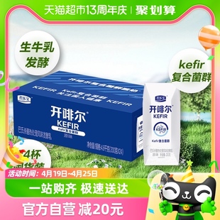 生牛乳发酵君乐宝开啡尔原味酸奶200g*24盒营养健康早餐奶