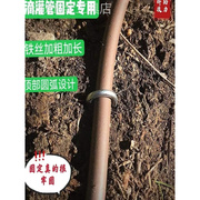 滴灌管铁丝卡子固定器地钉加粗镀锌草坪大棚实用园艺工具订制