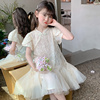 女童夏装连衣裙2024儿童汉服裙子夏季新中式小女孩中国风纱裙