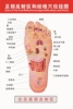 足部反射区和经络穴位挂图足疗店，洗脚店海报左足底部反射区墙贴纸