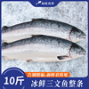 法罗挪威进口三文鱼整条10-12特大一整天包分切