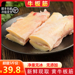 牛板筋新鲜现宰现取牛肉牛筋牛杂火锅串串烧烤食材黄牛板筋