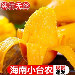 新鲜海南台农10斤鸡蛋芒果当季水果核小大台芒3斤大果果味