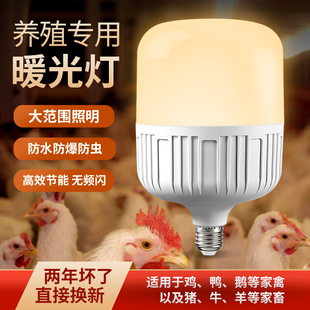 养殖场专用照明led灯暖光灯e27螺纹螺口，黄光养鸡场补光节能灯泡