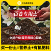 百合营养土养花专用通用型家用盆栽种花卉有机花泥土壤种植花土
