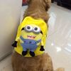 金毛背包大狗自背包拉布拉多萨摩狗用书包中大型犬旅行外出便携包