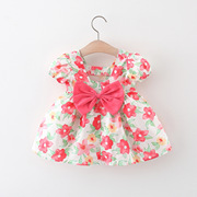 女宝宝裙子0-2-3岁4女童夏装，1婴儿小碎花衣服，洋气6个月女童公主裙