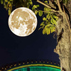 太阳能月亮灯室外吊灯球形户外防水别挂墅花园庭院树灯景观月球灯