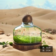 定制生态瓶鱼缸玻璃微景缸免换水免打理办公桌面，创意造景观z鱼缸