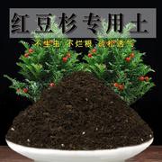 红豆杉土盆栽专用土通用营养土，弱酸性泥碳土花泥绿植沙质土壤肥料