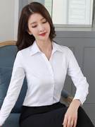 白衬衫女长袖修身春夏工作服，黑色正装工装气质职业装打底白色衬衣