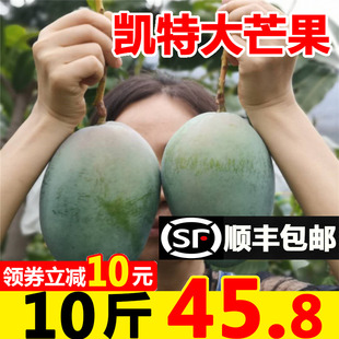 四川攀枝花凯特芒果新鲜大芒果10斤当季水果整箱应季芒果新的