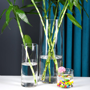 落地客厅摆件插花干花，北欧玻璃花瓶透明直筒水培富贵竹水养瓶