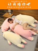 可爱猪猪毛绒玩具抱枕公仔床上女生睡觉大号娃娃玩偶小猪生日礼物