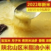 红小子.5斤小米 2023年新陕北米脂黄小米煮粥有米油糯香谷米