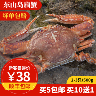 扁蟹2-3只500g东山岛野生海鲜，海捕螃蟹鲜活青蟹新鲜梭子蟹