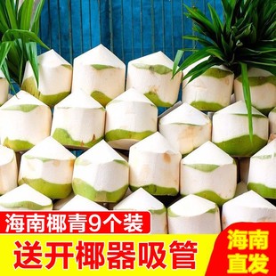 海南椰子椰青孕妇当季新鲜水果现发去皮原味清甜椰汁9个整箱