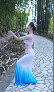 傣族舞蹈服成人女孔雀舞表演服装民族舞蹈演出服鱼尾裙练功练习裙