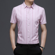 喜公公婚宴装休闲装结婚礼服新郎粉色衬衫男短袖冰丝衬衣半袖条纹
