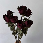 天然真花黑玫瑰干花花束黑魔术家居插花装饰摆件暗黑风拍摄道