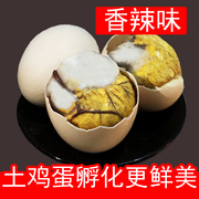 香辣新鲜13天活珠子鸡胚蛋10只半喜蛋凤凰蛋熟钢化蛋毛蛋非毛鸡蛋