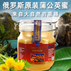 俄罗斯花蜜蒲公英蜜进口蜂蜜椴树蜜荞麦蜜天然结晶土蜂蜜瓶装礼盒