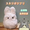 日本2019宫崎骏Totoro小白龙猫宝宝可爱公仔毛绒玩具玩偶娃娃