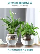 透明花瓶水养富贵竹玻璃花盆水培器皿植物鱼缸一体容器专用盆大号