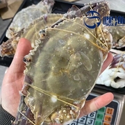 舟山野生梭子蟹新鲜冰冻水产公蟹鲜活螃蟹海蟹白蟹4-6两/只  5斤
