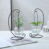 创意铁架水培绿萝玻璃花瓶容器盆办公室内桌面绿植现代摆件装饰品