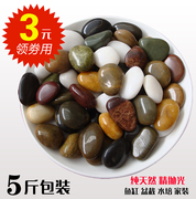 南京雨花石原石天然鹅卵石庭院铺地石头鱼缸配件五彩小石子石