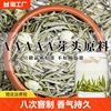 5a嫩芽茉莉针王2024新茶，特级浓香型银针，正宗广西横县茉莉花茶冷泡