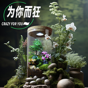 丘辰苔藓微景观生态瓶办公室内桌面绿植DIY造景观小摆件植物盆栽