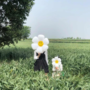 小雏菊花生日派对气球装饰太阳，花朵儿童周岁，场景布置野餐户外拍照