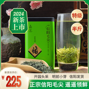 2024新茶叶信阳毛尖明前特级高山嫩芽手工绿茶农自产自销250g散装