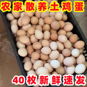 现捡现发新鲜土鸡蛋散养山林草鸡蛋正宗农家柴鸡蛋10枚40枚