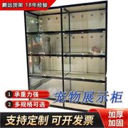 北京猫别墅猫笼子猫舍豪华猫窝猫柜展示柜双层侧面透明猫繁育猫床