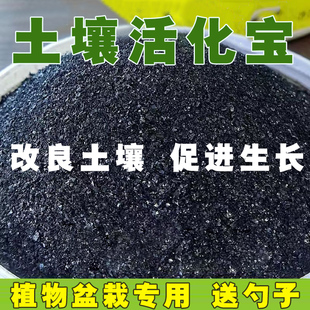 土壤活化剂活化宝改良养花疏松土精营养液防板结花肥料微生物黑水