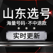 济南青岛济宁潍坊汽车选号新能源车牌号自编自选号数据库占用查询