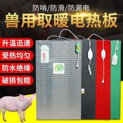 仔猪电热板猪用小猪保温板母猪产床兽用猪仔保育电热加热板养殖场