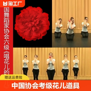 中国舞蹈协会考级六级舞蹈唱花儿的花儿手花道具小红花舞蹈指环花