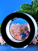 水母专用缸活物观赏鱼缸桌面，造景生态瓶小型恒温饲养缸客厅水族箱