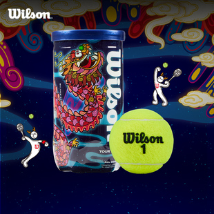 wilson威尔胜24年限量网球配件，龙年系列纪念网球比赛网球2粒装