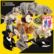 国家地理毛绒玩具仿真动物小熊猫狮子老虎公仔玩偶娃娃